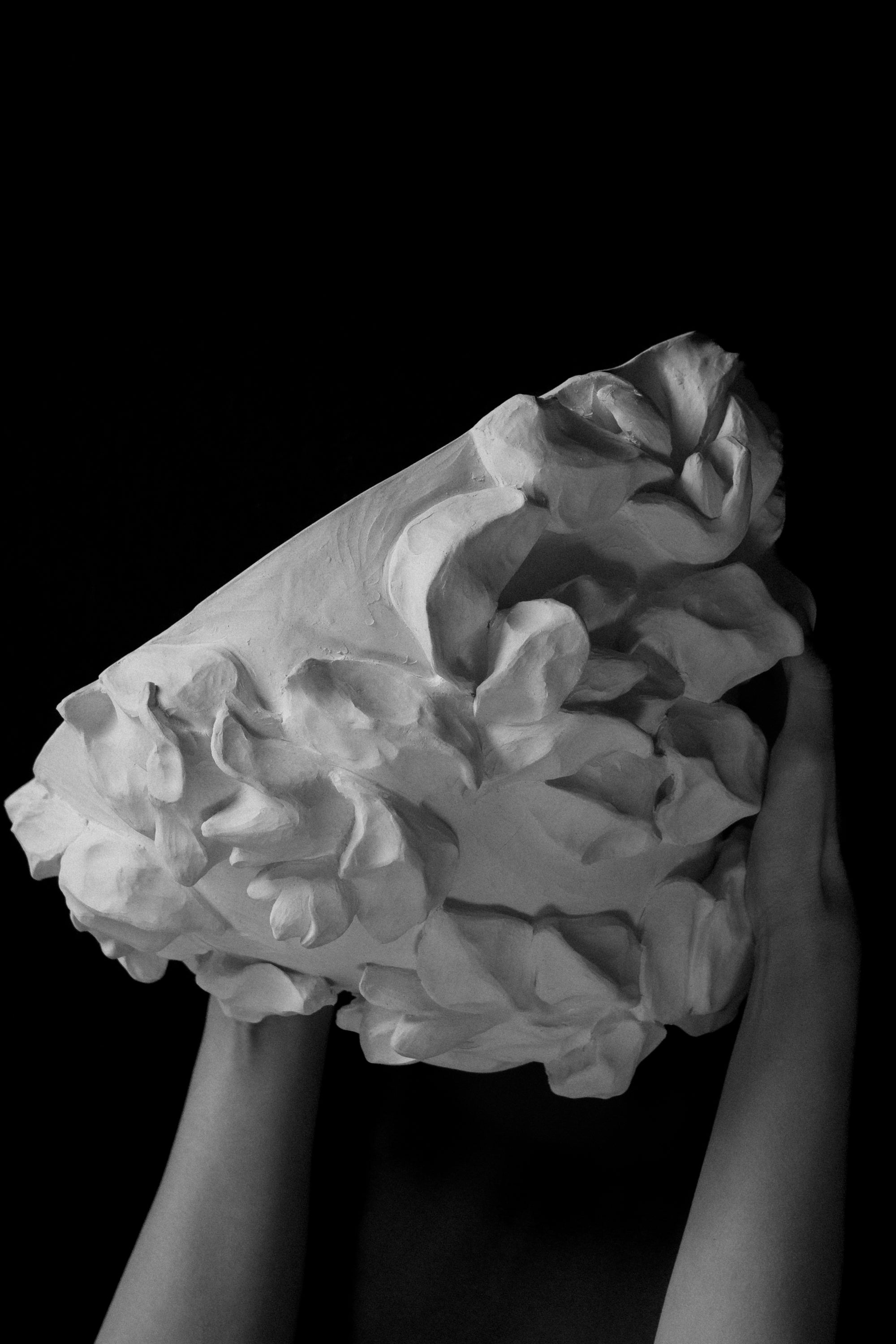 Inés No. 1 Large Bone